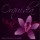 orquidea