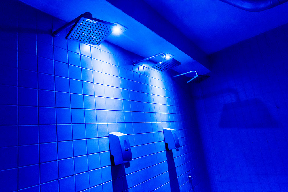 Sauna Apolo 56 Sauna Mista